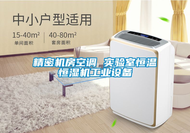 精密機(jī)房空調(diào) 實(shí)驗(yàn)室恒溫恒濕機(jī)工業(yè)設(shè)備