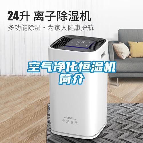空氣凈化恒濕機(jī)簡(jiǎn)介