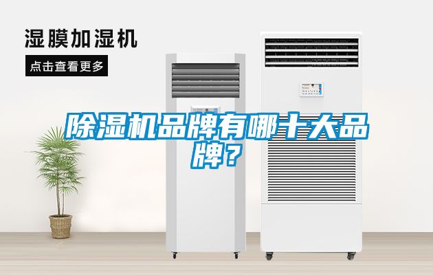 除濕機(jī)品牌有哪十大品牌？