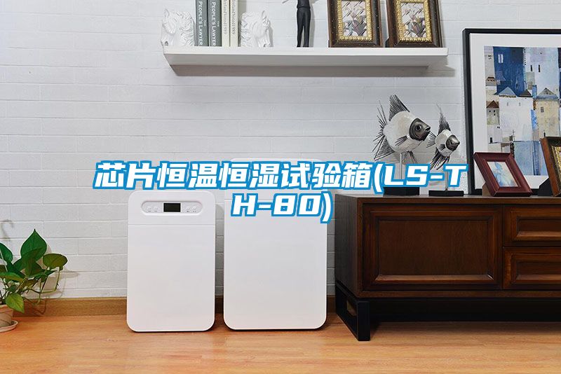 芯片恒溫恒濕試驗(yàn)箱(LS-TH-80)