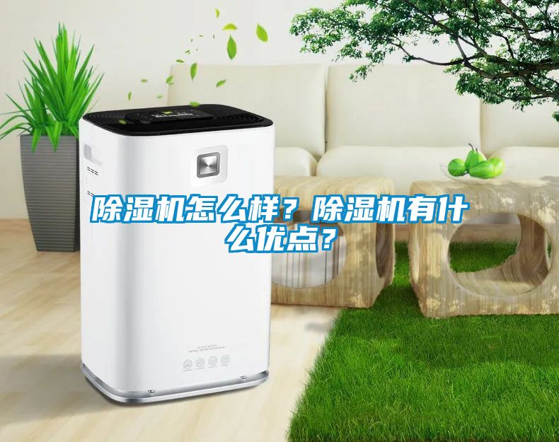 除濕機(jī)怎么樣？除濕機(jī)有什么優(yōu)點(diǎn)？