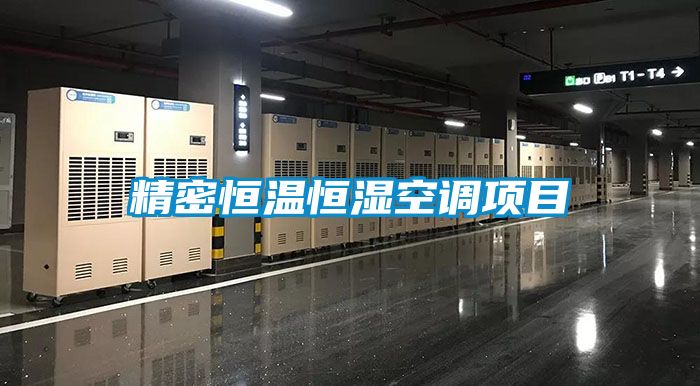 精密恒溫恒濕空調(diào)項(xiàng)目