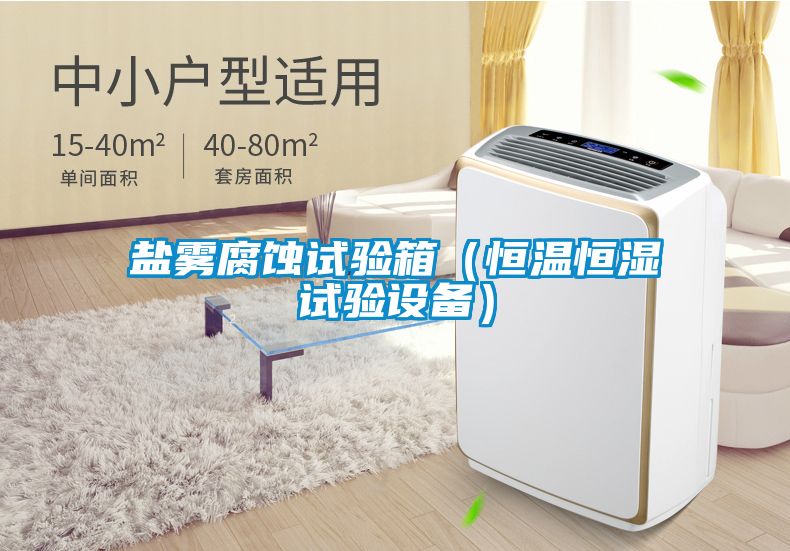 鹽霧腐蝕試驗箱（恒溫恒濕試驗設備）