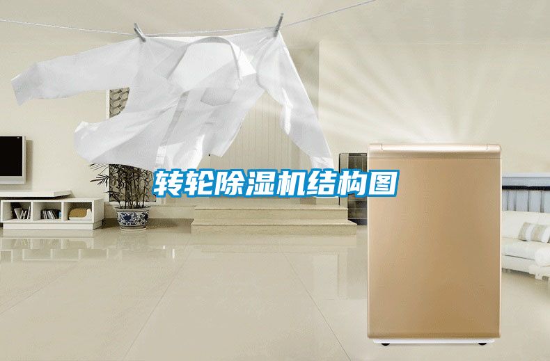 轉(zhuǎn)輪除濕機(jī)結(jié)構(gòu)圖