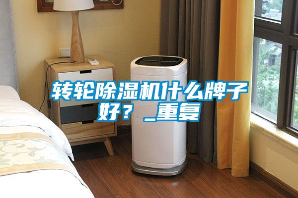 轉(zhuǎn)輪除濕機(jī)什么牌子好？_重復(fù)