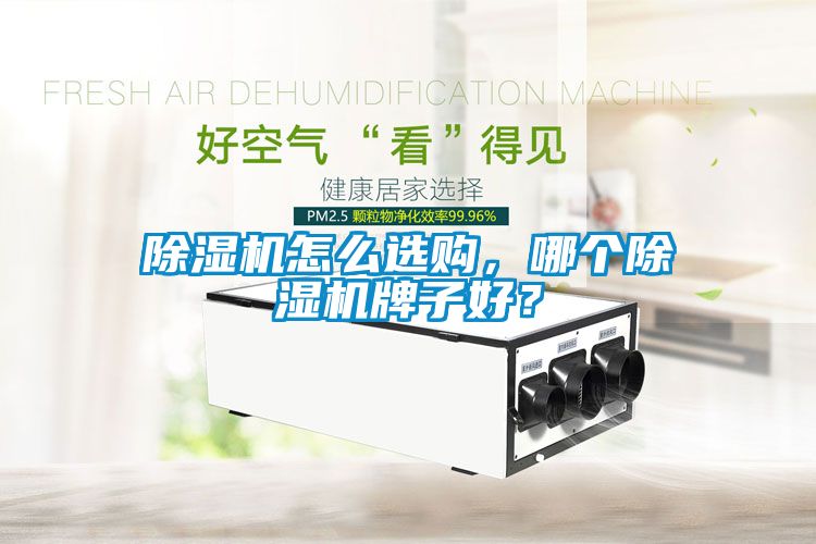除濕機(jī)怎么選購，哪個除濕機(jī)牌子好？