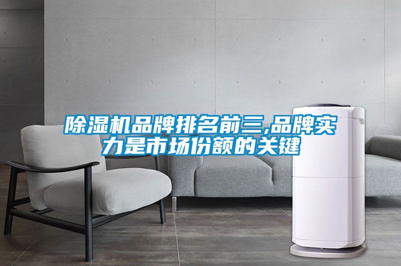 除濕機(jī)品牌排名前三,品牌實力是市場份額的關(guān)鍵
