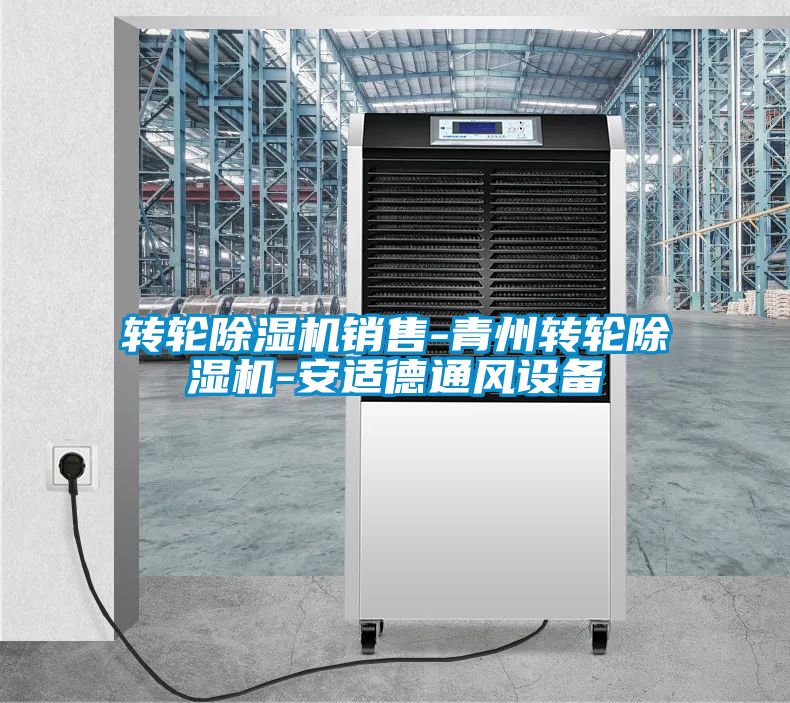 轉(zhuǎn)輪除濕機銷售-青州轉(zhuǎn)輪除濕機-安適德通風(fēng)設(shè)備