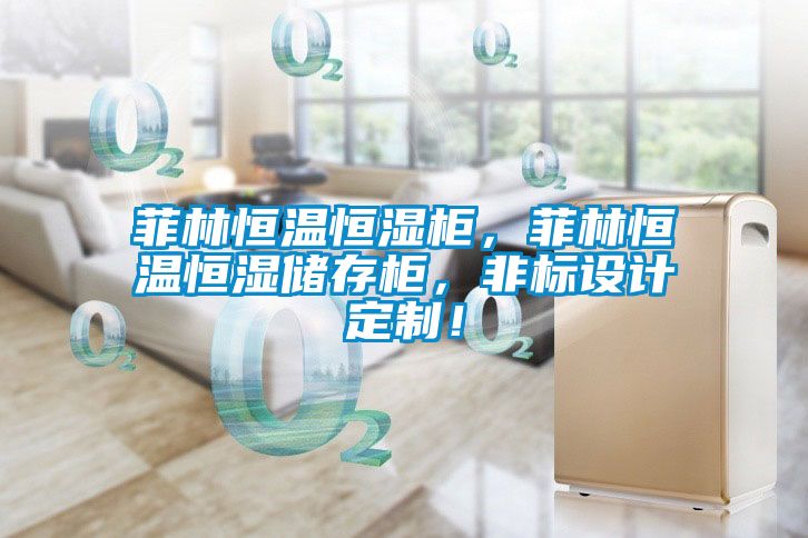 菲林恒溫恒濕柜，菲林恒溫恒濕儲存柜，非標設(shè)計定制！