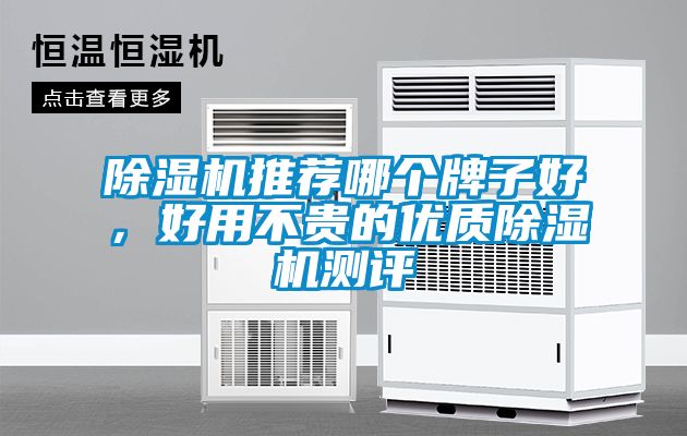 除濕機推薦哪個牌子好，好用不貴的優(yōu)質除濕機測評