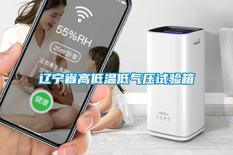 遼寧省高低溫低氣壓試驗(yàn)箱