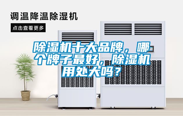 除濕機十大品牌，哪個牌子最好，除濕機用處大嗎？