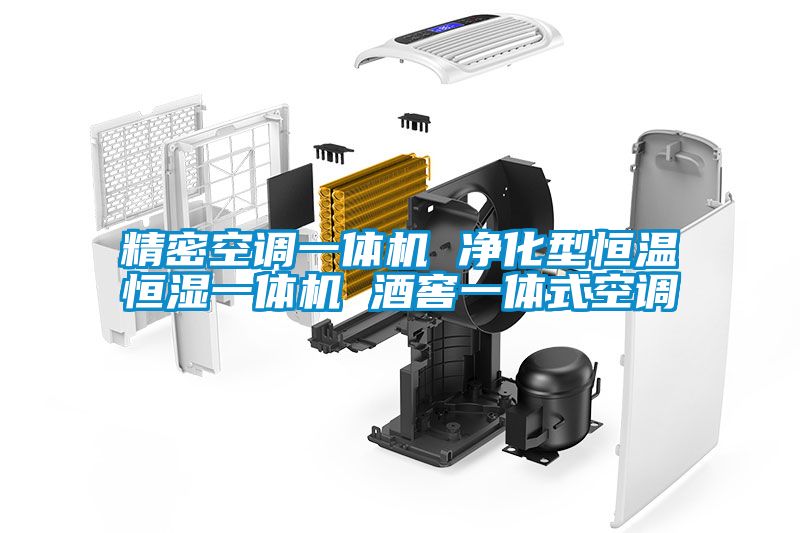 精密空調(diào)一體機(jī) 凈化型恒溫恒濕一體機(jī) 酒窖一體式空調(diào)