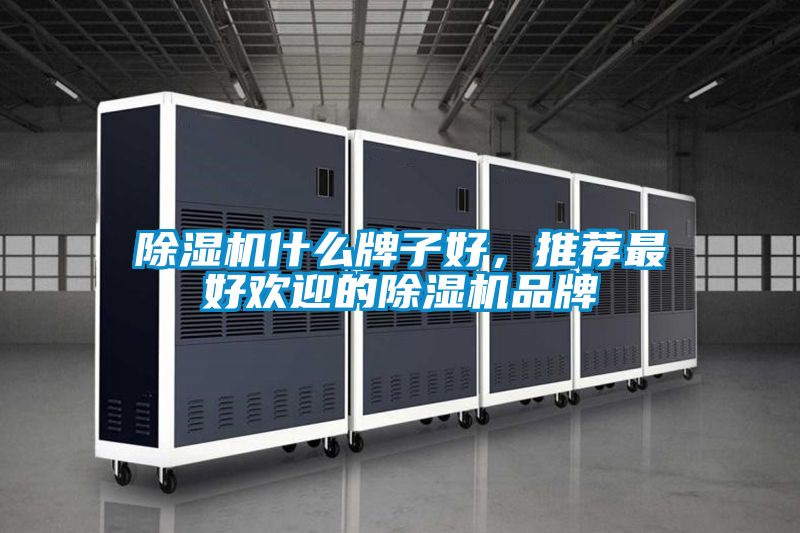除濕機(jī)什么牌子好，推薦最好歡迎的除濕機(jī)品牌