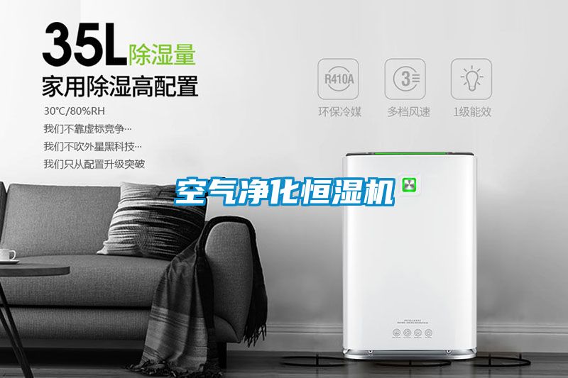 空氣凈化恒濕機(jī)