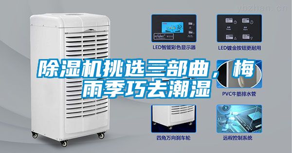 除濕機挑選三部曲，梅雨季巧去潮濕
