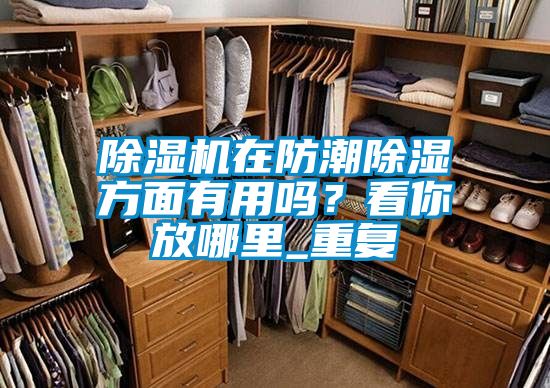 除濕機(jī)在防潮除濕方面有用嗎？看你放哪里_重復(fù)