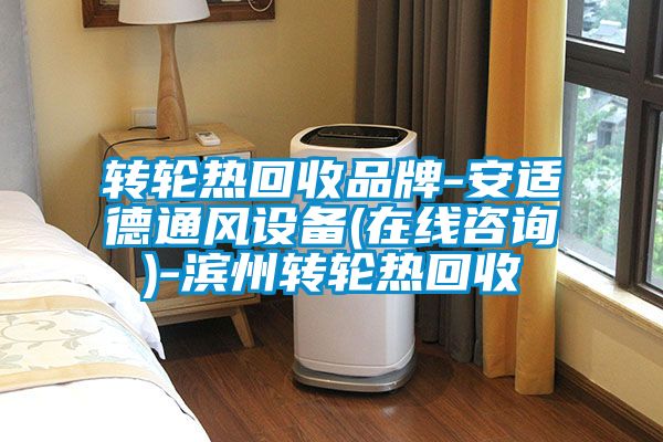 轉(zhuǎn)輪熱回收品牌-安適德通風設備(在線咨詢)-濱州轉(zhuǎn)輪熱回收
