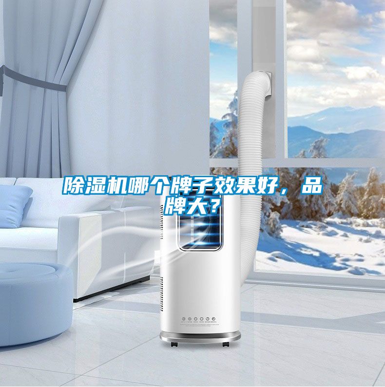 除濕機哪個牌子效果好，品牌大？