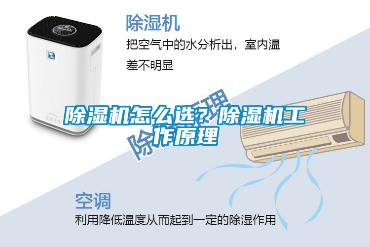 除濕機(jī)怎么選？除濕機(jī)工作原理