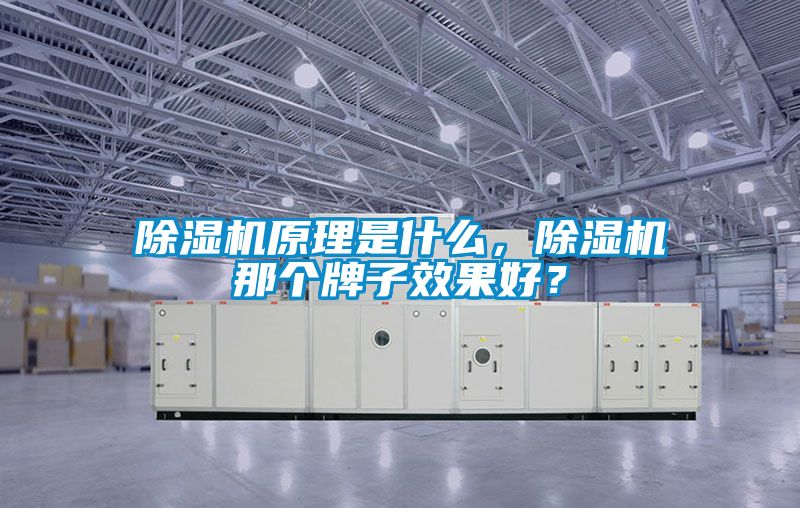 除濕機原理是什么，除濕機那個牌子效果好？