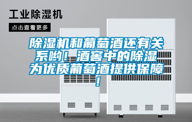除濕機(jī)和葡萄酒還有關(guān)系喲！酒窖中的除濕為優(yōu)質(zhì)葡萄酒提供保障！