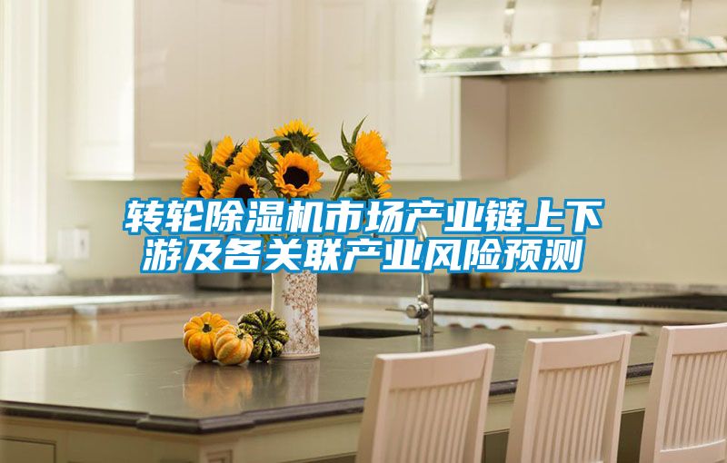 轉(zhuǎn)輪除濕機(jī)市場產(chǎn)業(yè)鏈上下游及各關(guān)聯(lián)產(chǎn)業(yè)風(fēng)險(xiǎn)預(yù)測