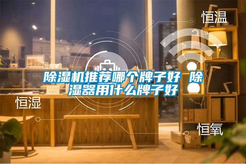 除濕機推薦哪個牌子好 除濕器用什么牌子好
