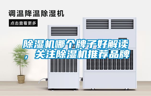 除濕機(jī)哪個(gè)牌子好解讀，關(guān)注除濕機(jī)推薦品牌