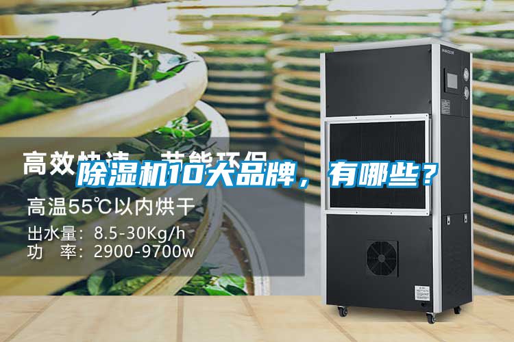 除濕機(jī)10大品牌，有哪些？
