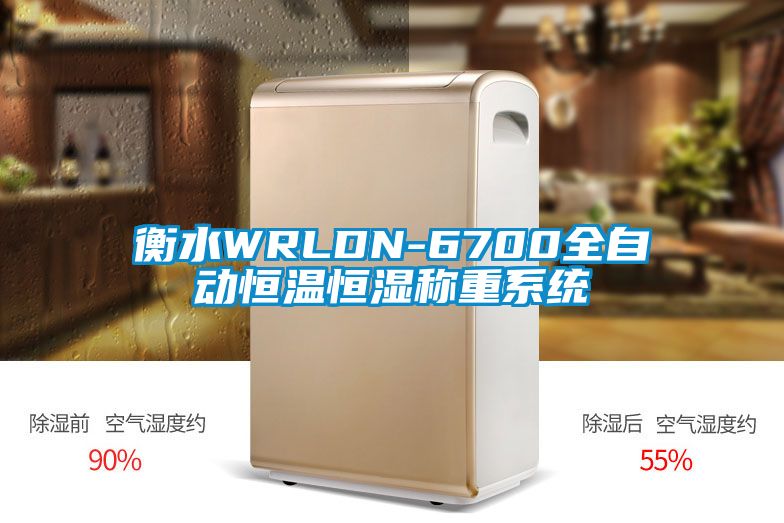 衡水WRLDN-6700全自動(dòng)恒溫恒濕稱重系統(tǒng)