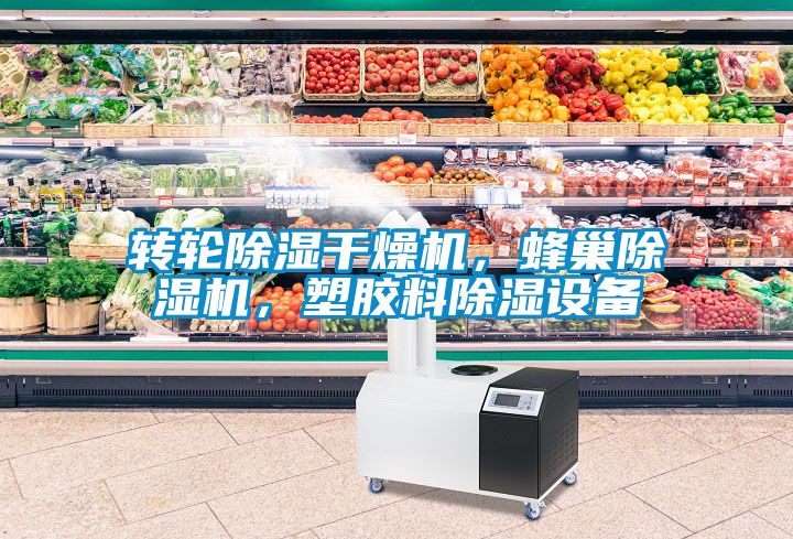 轉(zhuǎn)輪除濕干燥機，蜂巢除濕機，塑膠料除濕設(shè)備
