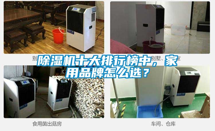 除濕機十大排行榜中，家用品牌怎么選？
