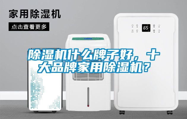 除濕機(jī)什么牌子好，十大品牌家用除濕機(jī)？