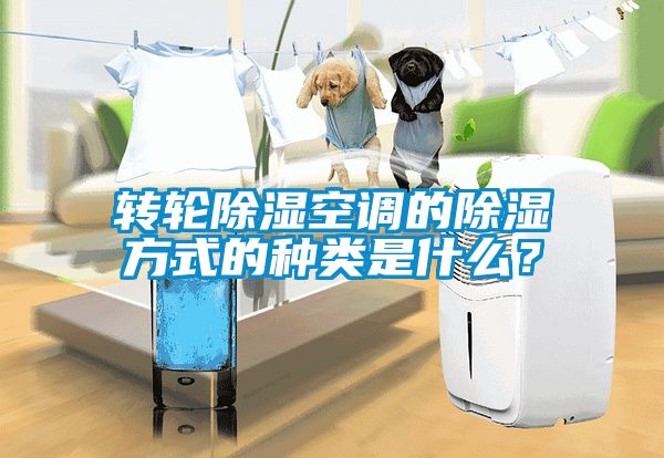 轉(zhuǎn)輪除濕空調(diào)的除濕方式的種類是什么？