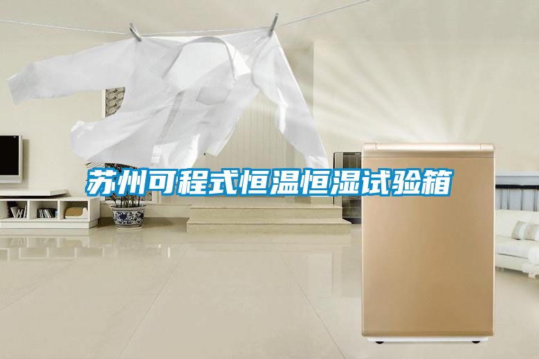 蘇州可程式恒溫恒濕試驗(yàn)箱