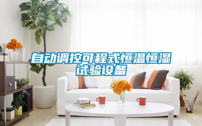 自動調(diào)控可程式恒溫恒濕試驗設(shè)備