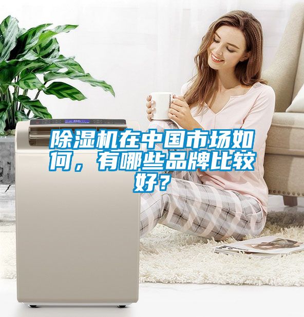 除濕機(jī)在中國(guó)市場(chǎng)如何，有哪些品牌比較好？