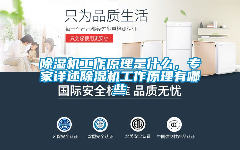 除濕機(jī)工作原理是什么，專家詳述除濕機(jī)工作原理有哪些