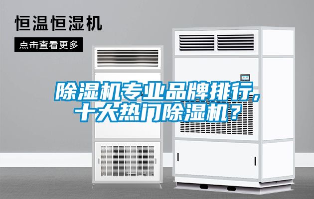 除濕機(jī)專業(yè)品牌排行,十大熱門除濕機(jī)？