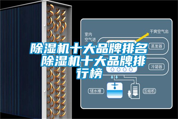 除濕機(jī)十大品牌排名 除濕機(jī)十大品牌排行榜