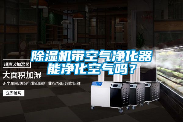 除濕機帶空氣凈化器能凈化空氣嗎？