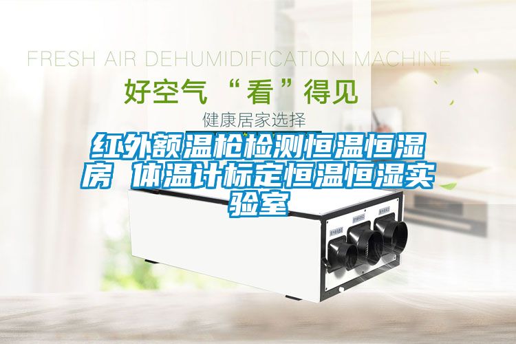 紅外額溫槍檢測恒溫恒濕房 體溫計標(biāo)定恒溫恒濕實(shí)驗(yàn)室
