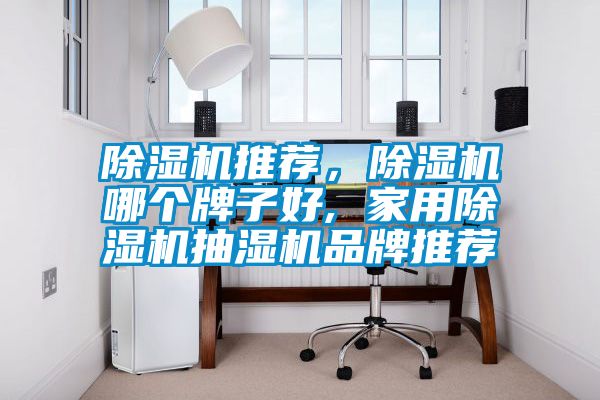 除濕機(jī)推薦，除濕機(jī)哪個(gè)牌子好, 家用除濕機(jī)抽濕機(jī)品牌推薦