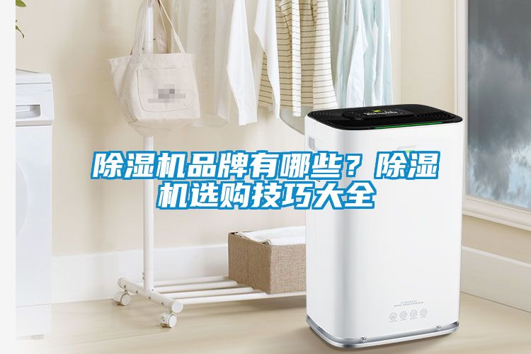 除濕機(jī)品牌有哪些？除濕機(jī)選購技巧大全