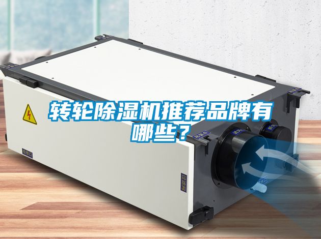 轉(zhuǎn)輪除濕機(jī)推薦品牌有哪些？
