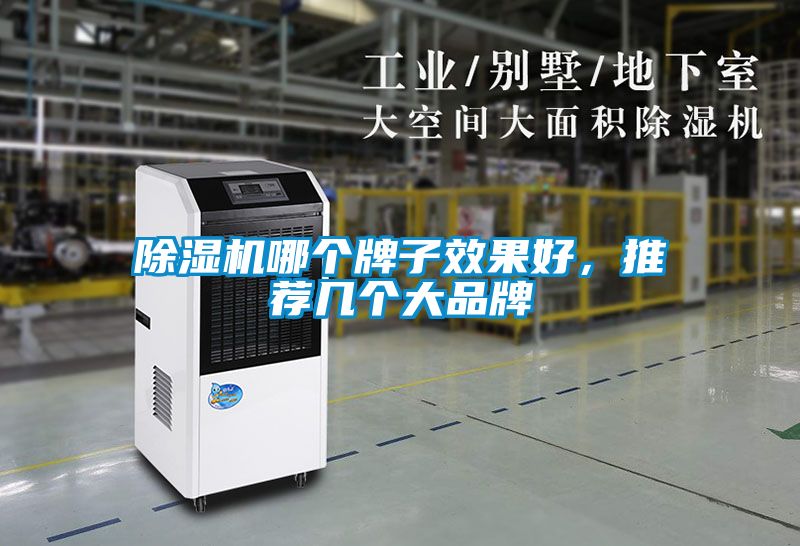除濕機哪個牌子效果好，推薦幾個大品牌