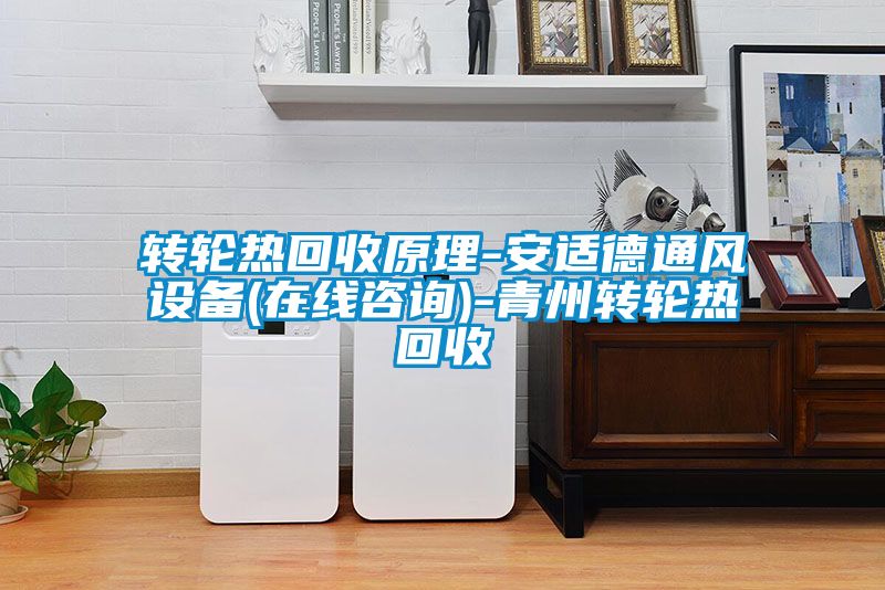 轉(zhuǎn)輪熱回收原理-安適德通風設備(在線咨詢)-青州轉(zhuǎn)輪熱回收