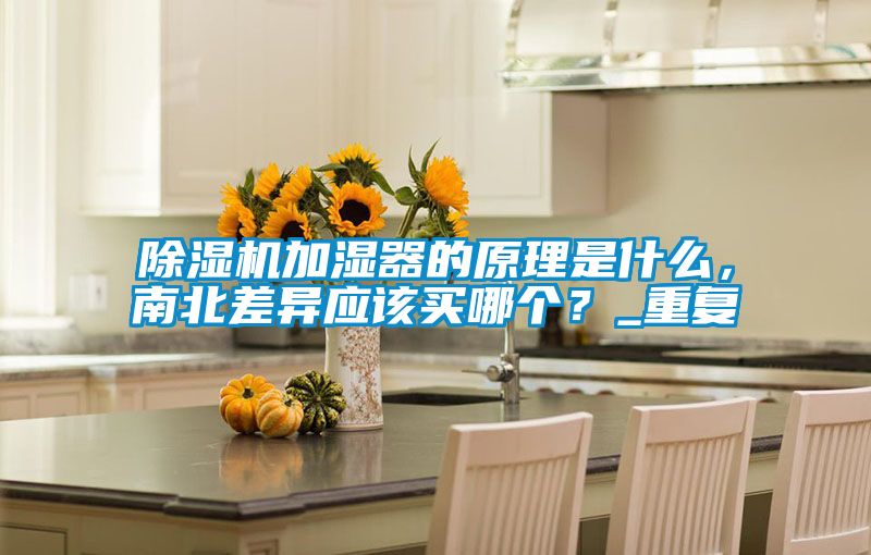 除濕機(jī)加濕器的原理是什么，南北差異應(yīng)該買哪個(gè)？_重復(fù)