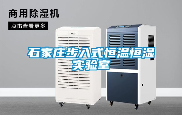 石家莊步入式恒溫恒濕實(shí)驗(yàn)室